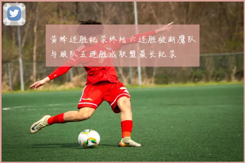 黄蜂连胜纪录终结六连胜被断鹰队与狼队五连胜成联盟最长纪录